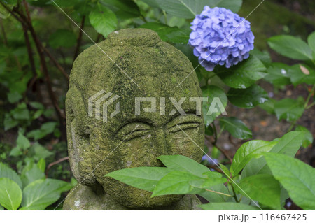 酬恩庵(一休寺) 20世紀の森 たくさんの羅漢像 酬恩庵(一休寺) 20世紀の森 たくさんの羅漢像 116467425