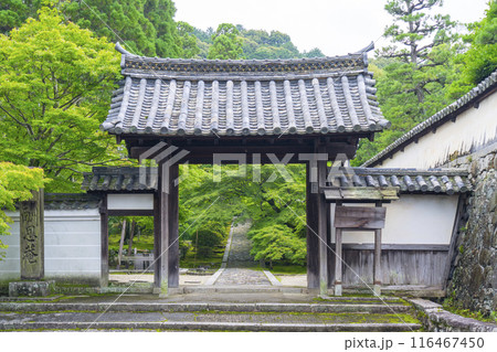 初夏の京都　酬恩庵（一休寺）　総門 116467450