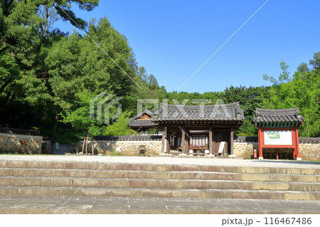 神奈川県・横浜市・三ツ池公園 116467486
