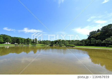 千葉県・千葉市・稲毛海浜公園 千葉県・千葉市・稲毛海浜公園 116467659