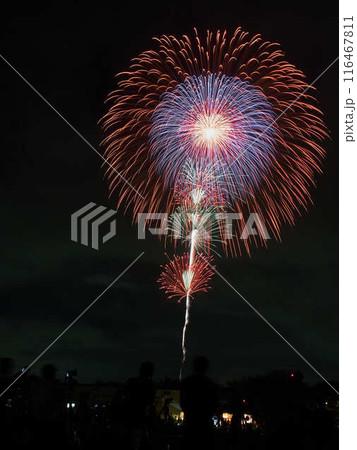 土浦全国花火競技大会の打ち上げ花火 116467811