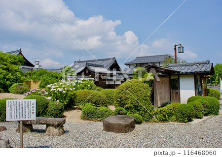 松江藩主 松平家代々の墓所 月照時 松江藩主 松平家代々の墓所 月照時 116468060