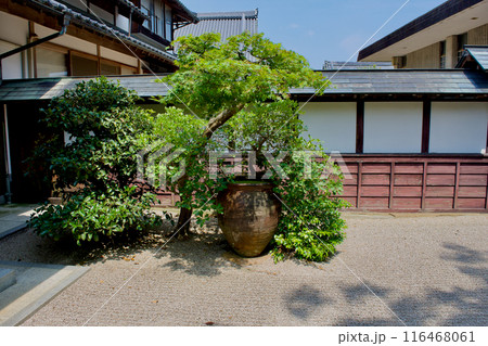 松江藩主　松平家代々の墓所　月照時　 116468061