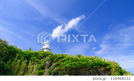(静岡県)伊豆下田・恵比須島に建つ灯台 (静岡県)伊豆下田・恵比須島に建つ灯台 116468132