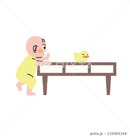 子育て_赤ちゃん_つかまり立ち 子育て_赤ちゃん_つかまり立ち 116468168