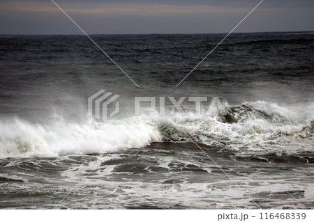 荒波・海・風景・波・水平線・岩 116468339