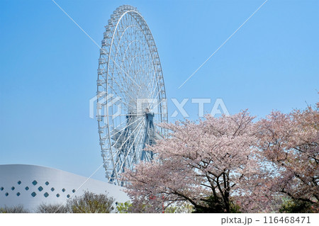 expocity. エキスポシティ expocity. エキスポシティ 116468471