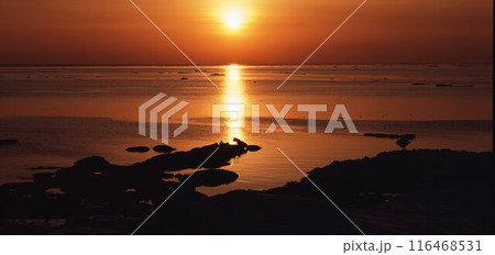 北海道オホーツク海の入り陽 北海道オホーツク海の入り陽 116468531