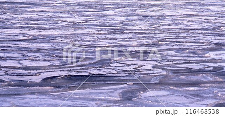 北海道網走湾凍結模様 116468538