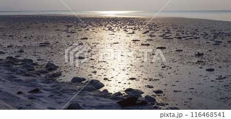 北海道知布泊海岸冬景 116468541