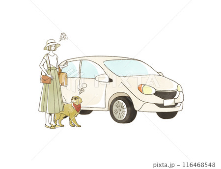 夏に車で旅行をする困った表情の女性と犬 116468548