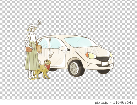 夏に車で旅行をする困った表情の女性と犬 116468548