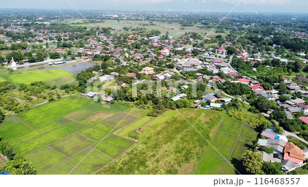 Aerial view of rice field and village in the countryside 116468557
