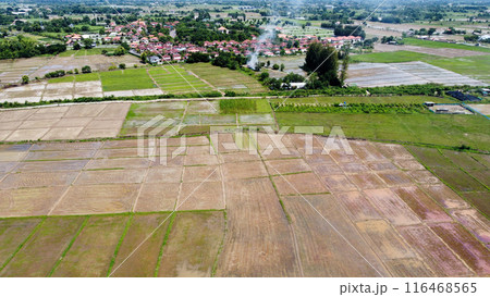 Aerial view of rice field and village in the countryside 116468565
