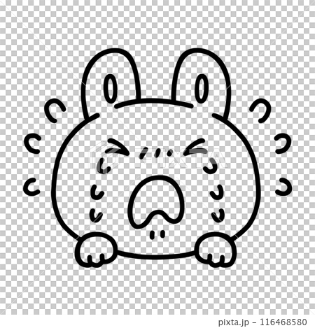 泣いているウサギ・線画 116468580