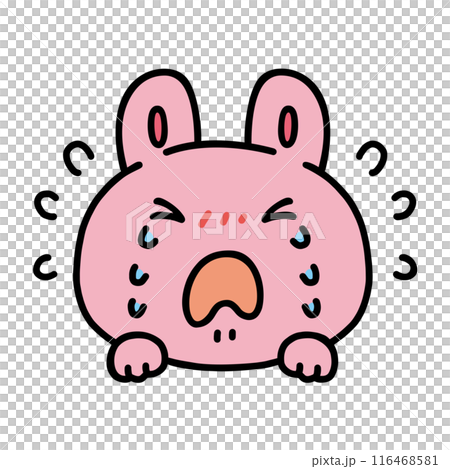 泣いているウサギ 116468581