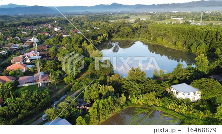 Aerial view of paddy field in countryside, agriculture in Thailand 116468879