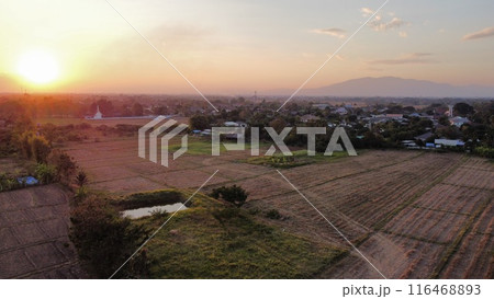 Aerial view of paddy field in countryside, agriculture in Thailand 116468893