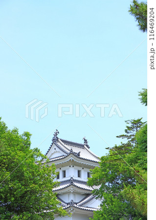 岐阜県大垣市、大垣城の風景 岐阜県大垣市、大垣城の風景 116469204