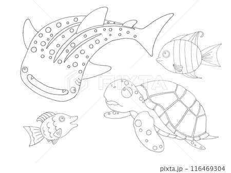 シンプルな魚のイラストセット塗り絵 シンプルな魚のイラストセット塗り絵 116469304
