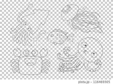 Simple fish illustration set coloring book 116469305