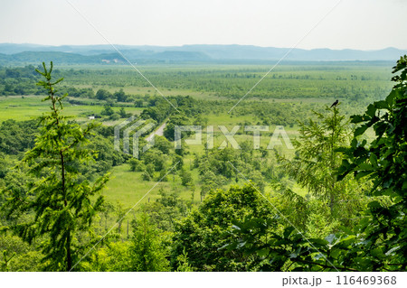 釧路湿原内のコッタロ湿原展望台からの風景 116469368