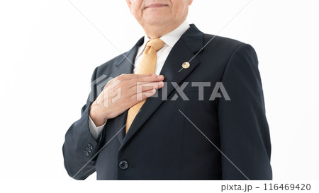 ビジネス シニア男性 弁護士 顔なし ビジネス シニア男性 弁護士 顔なし 116469420