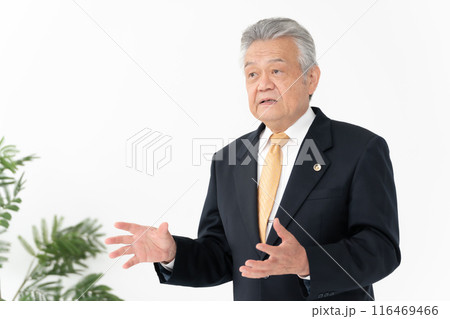 ビジネス　シニア男性　弁護士 116469466