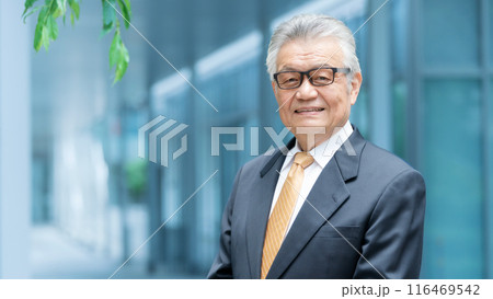 ビジネス シニア男性 屋外 ビジネス シニア男性 屋外 116469542