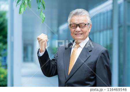 ビジネス　シニア男性　屋外　ガッツポーズ 116469546