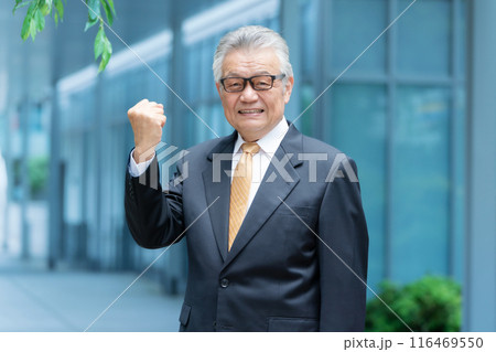 ビジネス　シニア男性　屋外　ガッツポーズ 116469550