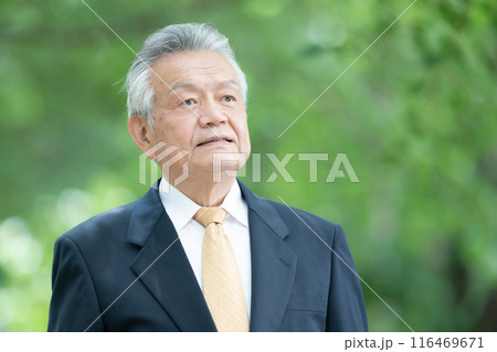 シニア男性 ポートレート 新緑 シニア男性 ポートレート 新緑 116469671