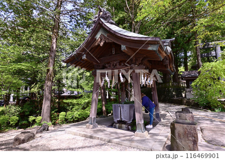 諏訪大社下社秋宮 116469901