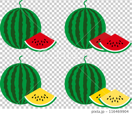 夏天可愛的西瓜插畫 116469904