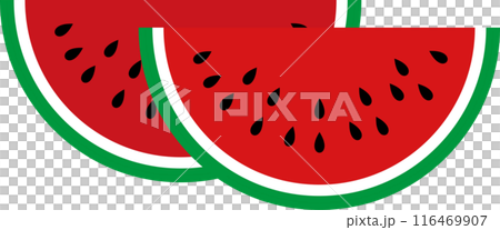 Summer cute watermelon illustration 116469907