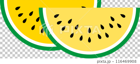 Summer cute watermelon illustration 116469908