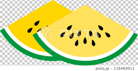 Summer cute watermelon illustration 116469911