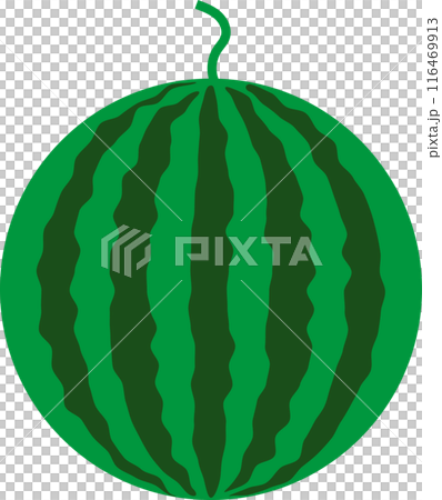 夏のかわいいスイカのイラスト 116469913