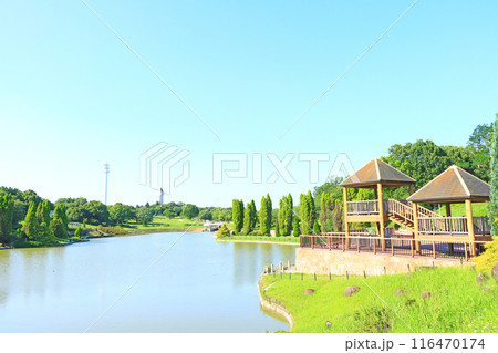 愛知県大府市、東浦町に跨るあいち健康の森公園の風景 116470174
