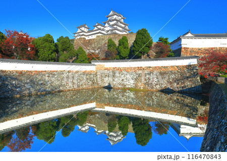 【兵庫県】シンメトリーな姫路城と紅葉 116470843