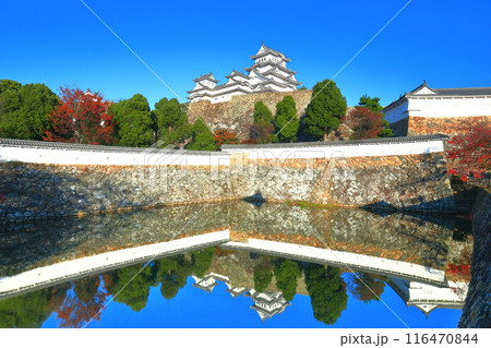 【兵庫県】シンメトリーな姫路城と紅葉 116470844