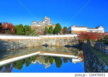 【兵庫県】シンメトリーな姫路城と紅葉 116470851