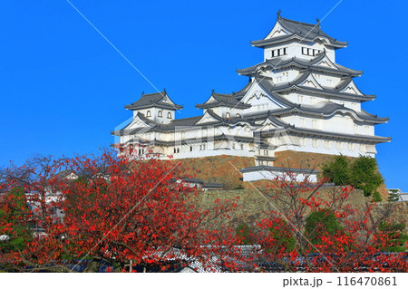 【兵庫県】快晴の姫路城と紅葉 【兵庫県】快晴の姫路城と紅葉 116470861