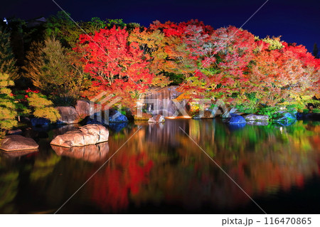 【兵庫県】好古園の紅葉ライトアップ（姫路公園） 116470865