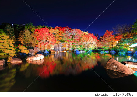 【兵庫県】好古園の紅葉ライトアップ（姫路公園） 116470866