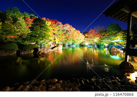 【兵庫県】好古園の紅葉ライトアップ（姫路公園） 116470868