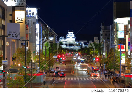 【兵庫県】秋の姫路城の夜景(大手前通り) 【兵庫県】秋の姫路城の夜景(大手前通り) 116470876