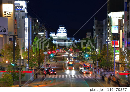 【兵庫県】秋の姫路城の夜景(大手前通り) 【兵庫県】秋の姫路城の夜景(大手前通り) 116470877