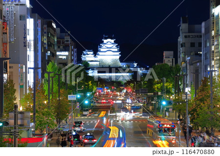 【兵庫県】秋の姫路城の夜景（大手前通り） 116470880
