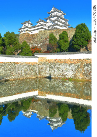 【兵庫県】シンメトリーな姫路城と紅葉 116470886